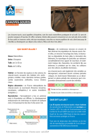 Fiche médiation sur les chauves-souris