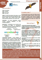 Fiche médiation sur les chauves-souris