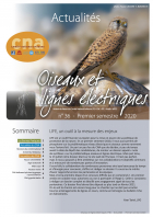 couverture du bulletin Oiseaux et lignes électriquesn°36