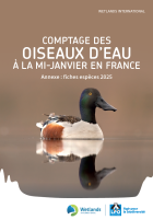 Synthèse Wetlands 2025 - Annexe 1 Fiches Espèces