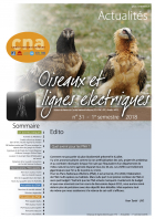 couverture du bulletin Oiseaux et lignes électriques n°31