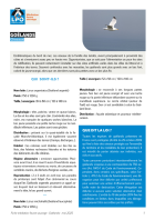 Fiche médiation : Goélands