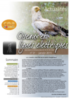 couverture du bulletin Oiseaux et lignes électriques n°21