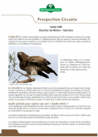 Fiche prospection Circaète