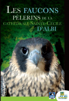 Dépliant Les faucons pèlerins de la cathédrale Sainte-Cécile d'Albi