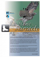 couverture La plume du Circaète