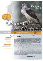 couverture du bulletin Oiseaux et lignes électriques n°4