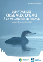 couverture Synthèse Wetlands 2022 - annexe fiches espèces