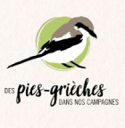 Logo : Des pies-grièches dans nos campagnes