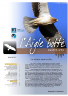 Couverture bulletin l'Aigle botté