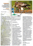 Couverture bulletin l'Aigle botté