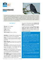 Fiche médiation : Corbeau freux