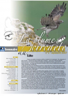 couverture La plume du Circaète