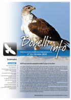 Couverture Bonelli info