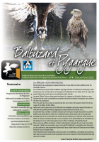 Balbuzard & Pygargue n°4