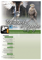 Balbuzard & Pygargue n°1