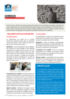 Fiche médiation sur les maladies