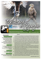 Balbuzard & Pygargue n°2