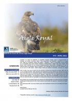 Aigle royal info