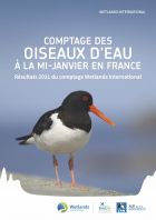 Bilans Wetlands – Comptage des oiseaux d’eau à la mi-janvier en France