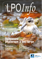 LPO info Île-de-France n°32