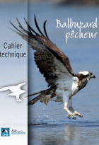 Cahier technique Balbuzard pêcheur