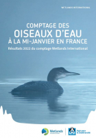 couverture Synthèse Wetlands 2022