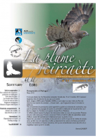 couverture La plume du Circaète