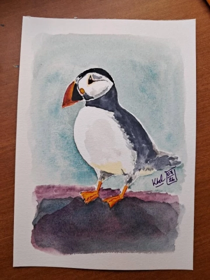 Aquarelle de Macareux moine
