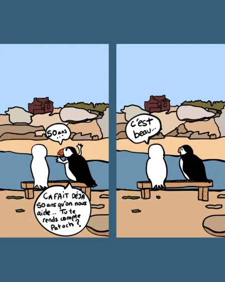 BD de 2 vignettes, dialogue entre un Macareux et un oiseau blanc : "50 ans... &ccedil;a fait d&eacute;j&agrave; 50 ans qu'on nous aide... Tu te rends compte Patoch ?" "C'est beau..."