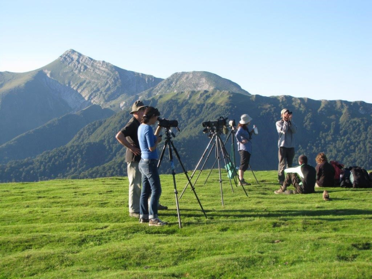 groupe d'adultes en montagne faisant un atelier d'observation &agrave; la lunette