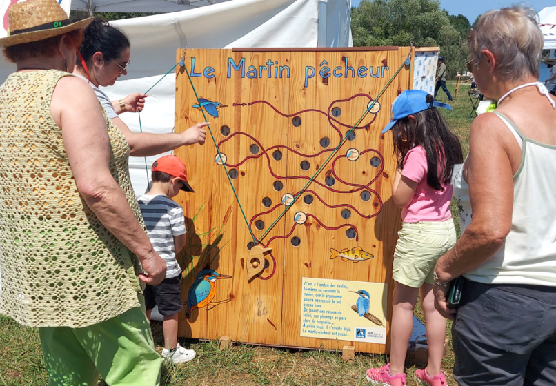 Un enfants guide une bille en bois sur un jeu pour suivre le chemin du martin-p&ecirc;cheur