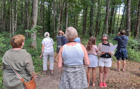 Des personnes observent dans la forêt aves des jumelles.