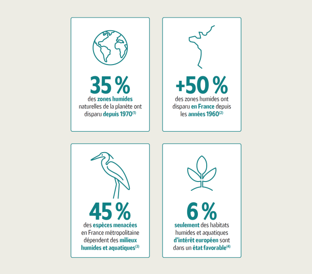 35% des zones humides naturelles ont disparu depuis 1971, +50% des zones humides en France ont disparu depuis les ann&eacute;es 1960, 45% des esp&egrave;ces menac&eacute;es en France m&eacute;tropolitaine d&eacute;pendent des milieux humides et aquatiques, 6% des habitats humides et aquatiques sont dans un &eacute;tat favorable
