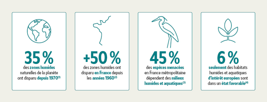 35% des zones humides naturelles ont disparu depuis 1971, +50% des zones humides en France ont disparu depuis les ann&eacute;es 1960, 45% des esp&egrave;ces menac&eacute;es en France m&eacute;tropolitaine d&eacute;pendent des milieux humides et aquatiques, 6% des habitats humides et aquatiques sont dans un &eacute;tat favorable