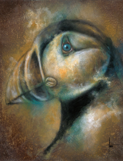 portrait de profil d'un macareux moine