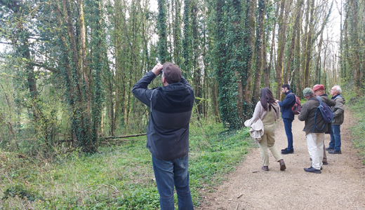 Sortie nature entre référent·es et correspondant·es à l'arboretum du Chemin de la Découverte à Melle, une personne regarde les arbres avec une pair de jumelle, un second groupe continue d'avancer en arrière plan sur le chemin