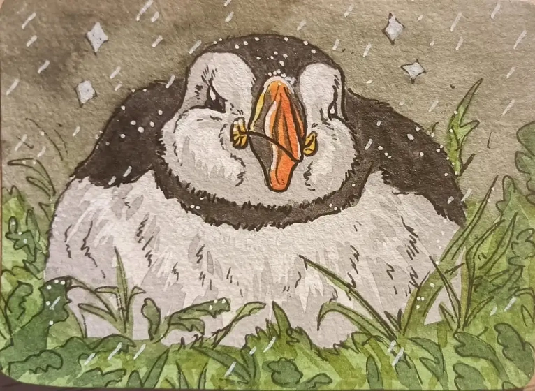 Aquarelle repr&eacute;sentant un Macareux moine dans la v&eacute;g&eacute;tation sous la pluie