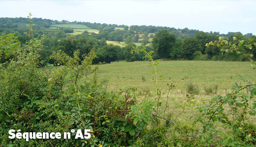 Paysage de bocage