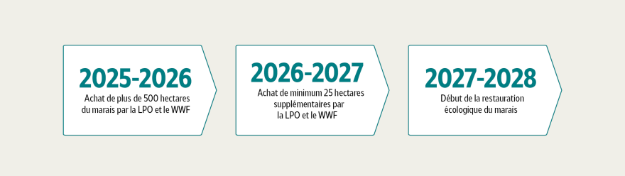 2025-2026 : achat de plus de 50 hectares par la LPO et le WWF / 2026-2027 : achat de minimum 25 hectares suppl&eacute;mentaires / 2027-2028 : d&eacute;but de la restauration &eacute;cologique