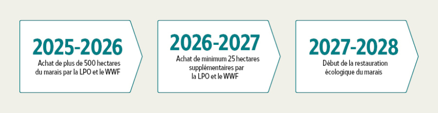 2025-2026 : achat de plus de 50 hectares par la LPO et le WWF / 2026-2027 : achat de minimum 25 hectares suppl&eacute;mentaires / 2027-2028 : d&eacute;but de la restauration &eacute;cologique
