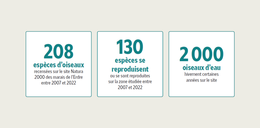 208 esp&egrave;ces d'oiseaux recens&eacute;es sur le site de Mazerolles entre 2077 et 2022, 103 esp&egrave;ces se sont reproduites, 2000 oiseaux d'eau hivernent sur le site