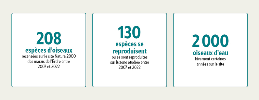 208 esp&egrave;ces d'oiseaux recens&eacute;es sur le site de Mazerolles entre 2077 et 2022, 103 esp&egrave;ces se sont reproduites, 2000 oiseaux d'eau hivernent sur le site
