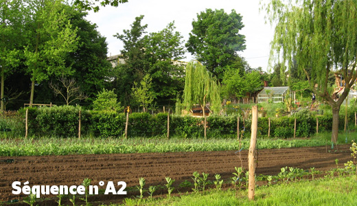 Jardins potagers