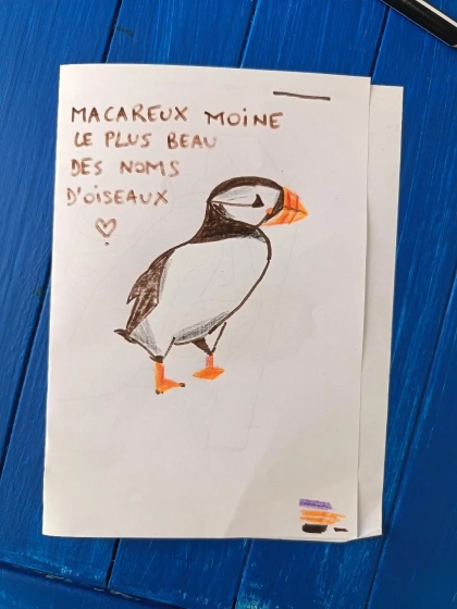 Dessin de Macareux moine aux feutres intitul&eacute; "Macareux moine, le plus beau des noms d'oiseaux"