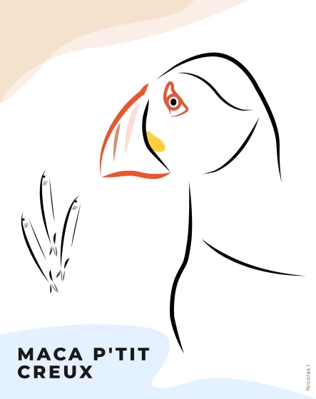 Dessin digital des contours d'un Macareux moine et de poissons, en portrait, "Maca p'tit creux"