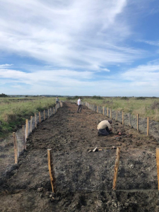 Leste &agrave; grands stigmas &ndash; Cl&ocirc;ture pour prot&eacute;ger la future scirpaie