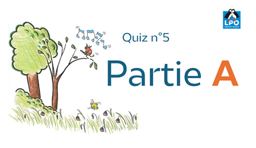 Annonce de la première Partie du quiz5