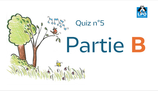 Annonce de la deuxième partie du quiz5