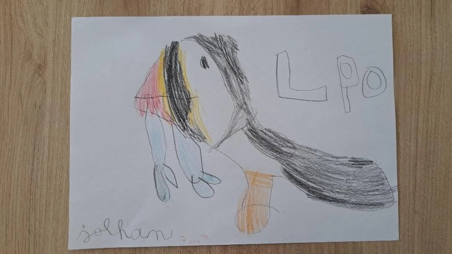 Dessin aux crayons de couleur d'un Macareux moine tenant des poissons dans son bec